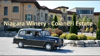 NiagaraontheLake Wineries amp Vineyards 2018 [upl. by Neeven541]