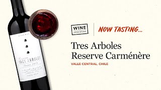 Tres Arboles Reserve Carménère Wine Review [upl. by Ellehc]