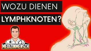 Wozu dienen LYMPHKNOTEN  Arzt erklärt Funktion [upl. by Annaeed]