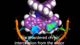 Insertion and intercalation into DNA by a rhodium complex [upl. by Anicnarf]