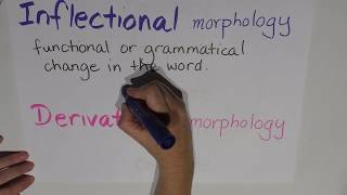 Episode 6  Morphology  Inflectional vs derivational [upl. by Hazem]