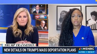 Rep Crockett Breaks Down Trumps Mass Deportation Plans  REALITY Check with MSNBCs Alex Witt [upl. by Ylek]