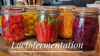 LÉGUMES LACTOFERMENTÉS DES CONSERVES TRÈS FACILES À FAIRE [upl. by Onid]