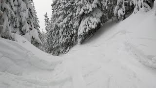 Powder  Arizona Snowbowl February 7 2024 [upl. by Zinah]