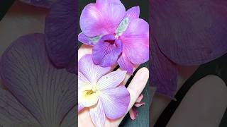 How to dry flowers in silica gel 🌺🌸🌺 dried flowers silicagel stabilizedflowers resinart [upl. by Fleece]