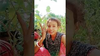 Fuchka khabo🤣🤣Bangla shorts video popular song [upl. by Gonnella]