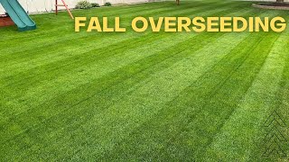 Overseeding Lawn  Steps Tips Tricks For A Successful Overseed  Cool Season Grass [upl. by Atoiganap]