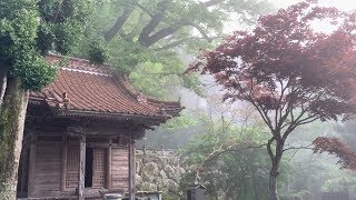 SHIKOKU 88 TEMPLES long version [upl. by Suiramad]