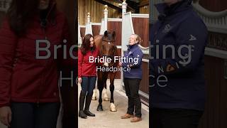 How to check a bridle headpiece fits  Bridle Fitting BridleFitting Bridle [upl. by Cordelie]