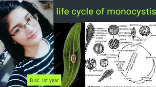 Life cycle of Monocystis Trophozoite Detailed explanation [upl. by Toogood]