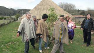 Recojamos Nuestros Cantos y Bailes Mapuche [upl. by Afinom]