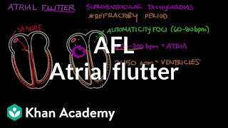 Atrial flutter AFL  Circulatory System and Disease  NCLEXRN  Khan Academy [upl. by Inanuah]