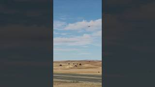 A10 Warthog drops a load of cluster bombs dcs [upl. by Agrippina]