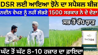 Savana Full Page Paddy Varieties  Sava 134 amp Sava 127 Full page paddy Variety for DSR … [upl. by Yelrebma]