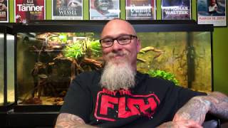 Introduction to Chris The Mad Aquarist Biggs and his new channel [upl. by Lemcke]