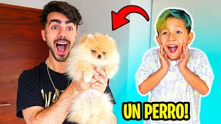 LE REGALO UN PERRO A MI VECINO POR SU CUMPLEAÑOS [upl. by Beau431]