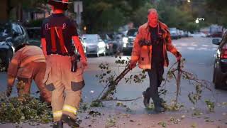 Tree Down on Car Pavonia Ave  Jersey City NJ [upl. by Furr]