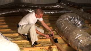 How To Get Rid Of Rodents In The Attic Pest Products Online [upl. by Hobbs]