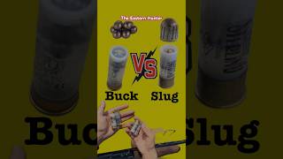 Slug vs Buckshot review [upl. by Mil]