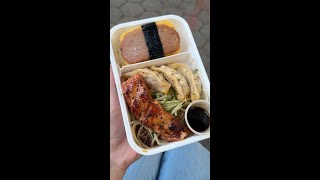 Salmon Bento [upl. by Anastasio698]