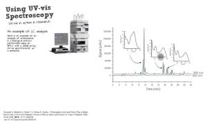 Practical Uses of UVvis Spectroscopy [upl. by Minardi]