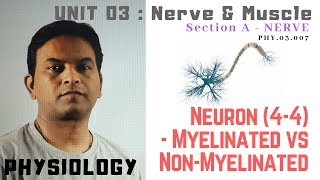 PHY03007Neuron 44 – Myelinated vs Unmyelinated  Dr Prashant Sharma [upl. by Nodyarg]