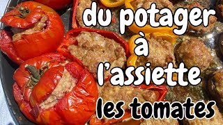 Meilleur tomates farcies la recette de ma grand mère [upl. by Ecniv]