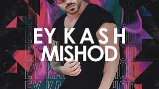 Hamed Fard  Ey Kash Mishod Official Audio [upl. by Thessa609]