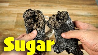 6 EASY SCIENCE EXPERIMENTS WITH SUGAR  AMAZING SUGAR TRICKS [upl. by Elehcin]