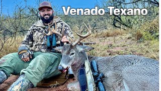 CAZA de Venado Cola Blanca de TEXAS 8 puntas [upl. by Eimaj117]