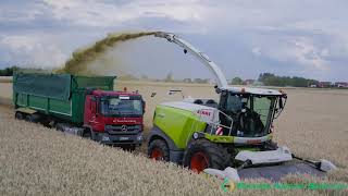 WAGNER AGRARSERVICE  2 Claas Jaguar 980  Fendt 1050 Vario  Claas Torion  Mercedes Benz  GPS [upl. by Osyth]