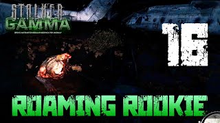 16 Roaming Rookie Let’s Play STALKER  GAMMA w GaLm [upl. by Ade625]