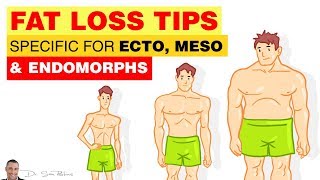 ⚖️ Fat Loss Tips Specific For Ecto Meso amp Endomorphs  by Dr Sam Robbins [upl. by Odlanyar]