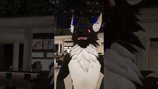 Aba und Aza furries fyp deutsch short drache fluffy vrchat foryou safespace [upl. by Alehc]