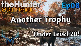 Fresh Start Ep8  theHunter Call of the Wild [upl. by Tandy28]