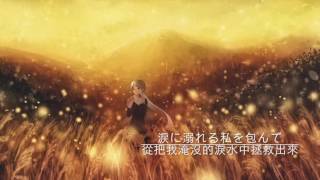 JPCHIENG Kimi no uta Rei Yasuda 夏目友人帳陸 natsume yuujinchou roku ED [upl. by Nela]