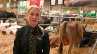 UK Dairy Day 2019 Cattle Show Moovie [upl. by Korella]