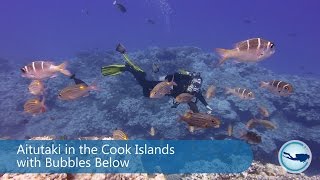 Aitutaki Cook Islands  scuba diving with Bubbles Below [upl. by Yeldahc]