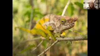 Naturetrek Roadshow Madagascar [upl. by Morentz]