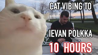 Cat Vibing To Ievan Polkka 10 Hours [upl. by Leinad866]