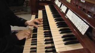 Marco Lo Muscio PlaysErik Satie Première Pensée Rose  Croix [upl. by Spencer171]