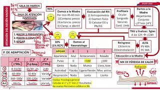 ATENCION DEL RECIEN NACIDO NEONATOLOGIA PARTE 1 ENAM [upl. by Jarek622]