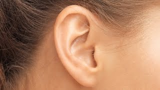 How the Human Ear Works [upl. by Ikin]