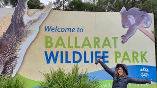 Ballarat Wildlife Park well worth the visit Ballarat Victoria [upl. by Omle]