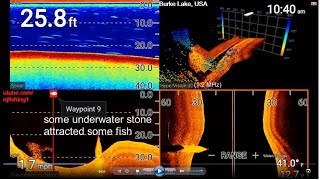 Raymarine Element 7quot Mega Imaging HV100 4 sonars in 1 screen of Burke Lake underwater world [upl. by Savinirs]