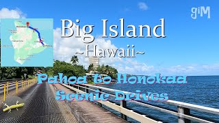 Pahoa to Honokaa  Hawaii Big Island TownScenic DrivesHomes [upl. by Seltzer]