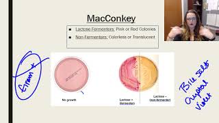 Laboratory tests media and techniques [upl. by Sowell173]