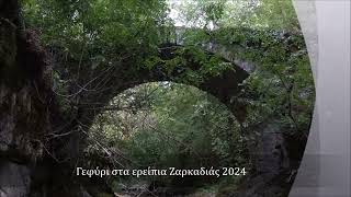 Μονότοξο Πέτρινο Γεφύρι Ζαρκαδιάς [upl. by Gardener]