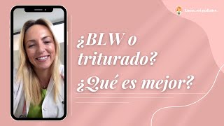 ¿BLW o triturado ¿Qué es mejor [upl. by Anelrahc]