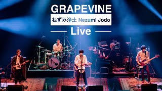 GRAPEVINE  ねずみ浄土 Live at Zepp DiverCity 20210708 [upl. by Darooge]